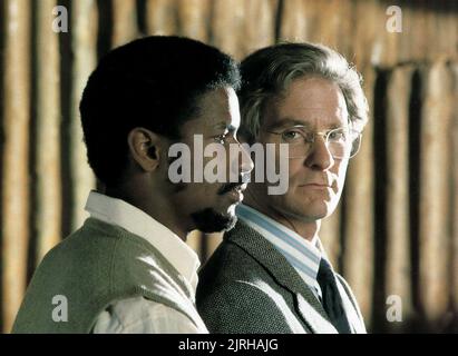 KEVIN KLINE, Denzel Washington, grido libertà, 1987 Foto Stock