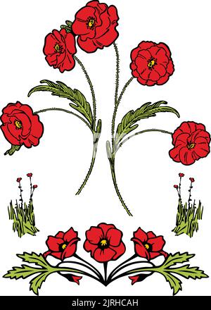 Un insieme di illustrazioni grafiche vettoriali di fiori di papavero. Illustrazione Vettoriale