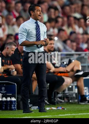 EINDHOVEN, PAESI BASSI - 24 AGOSTO: Allenatore Giovanni van Bronckhorst di Rangers durante la partita di seconda tappa della UEFA Champions League tra PSV e Rangers allo stadio Philips il 24 agosto 2022 a Eindhoven, Paesi Bassi (Foto di Geert van Erven/Orange Pictures) Foto Stock