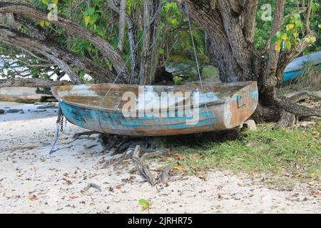 Giocare a Fetch con il pastore tedesco su una spiaggia Foto Stock