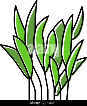 illustrazione del vettore delle icone a colori java fern Illustrazione Vettoriale