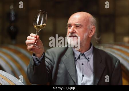 Uomo caucasico anziano di razza grigiastro degusta vino bianco in una cantina Foto Stock