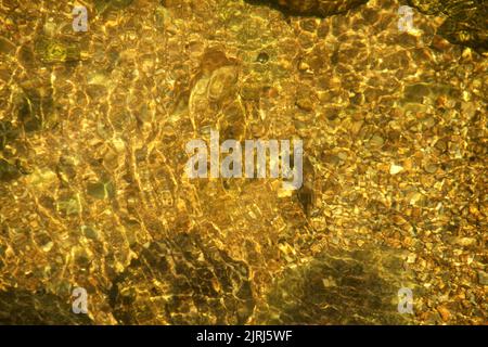 Ruscello nelle Blue Ridge Mountains, Virginia, USA Foto Stock