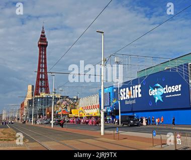 Blackpool Sealife centro sul lungomare centrale con torre sullo sfondo, estate in Lancashire, Inghilterra, Regno Unito, FY1 Foto Stock