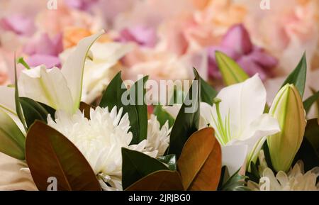 Una varietà di fiori con fiori di petalo prevalentemente bianco in primo piano e foglie di magnolia. Petali colorati di albicocca di pesca sfocati nel backgro Foto Stock