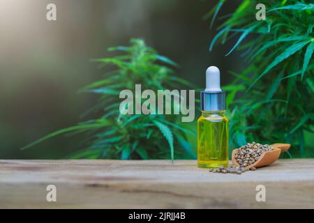 Semi di cannabis e estratto di cannabis in olio CBD, sfondo foglia di canapa verde, concetto di cannabis medica. Foto Stock