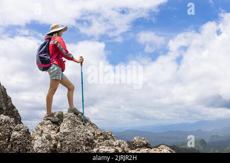 arrampicatore in piedi sulla cima della montagna Foto Stock