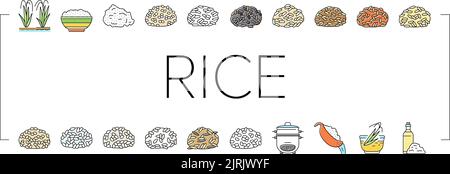 Riso per preparare Delicious Food icone Set Vector Illustrazione Vettoriale