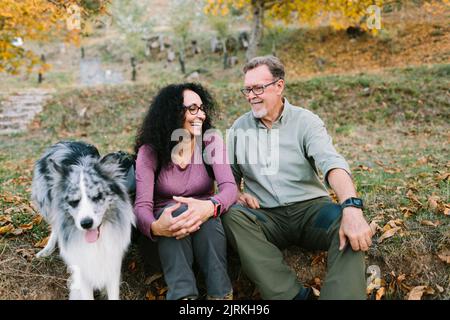 Coppia matura allegra in abbigliamento casual seduto a terra vicino al carino cane pastore Australiano nel parco autunnale Foto Stock