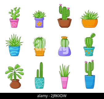 Set di divertenti cactus e succulenti cartoni animati. Collezione con diversi tipi di cactus e piante domestiche. Illustrazioni vettoriali a colori isolate su bac bianco Illustrazione Vettoriale