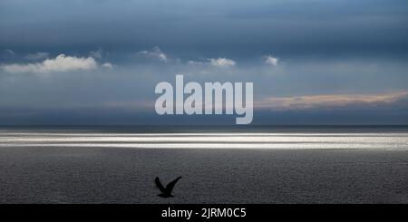 Ault Onival, le phare, la plage, Foto Stock