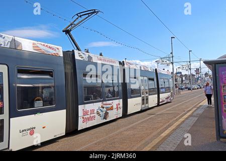 Blackpool Tramways, Bombardier tram 006, con Tunnocks pubblicità sul lungomare di Blackpool, Lancashire, Inghilterra, Regno Unito Foto Stock