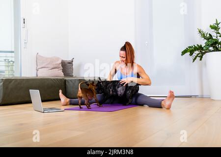 Adatta donna sana e sportiva si siede sul tappetino facendo le seguenti esercitazioni, guardando una lezione di yoga online sul notebook. I suoi cani piccoli mantiene la compagnia Foto Stock