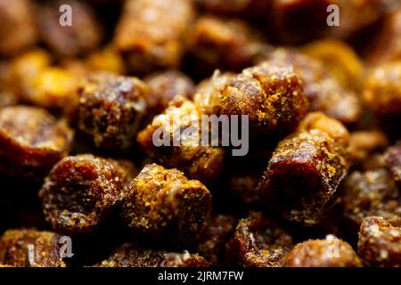 Primo piano estremo di pane di ape. Messa a fuoco selettiva. Profondità di campo poco profonda Foto Stock