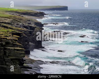 Marwick Head Cliffs, Mainland, Orkney, Scozia Foto Stock