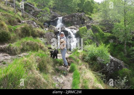 BeinGlas, Stirling, Argyll & Bute, Scotland UK 21 maggio 2019 camminando in collina, munros di montagna della Scozia. Donna con due cani a cascata sul sentiero Foto Stock