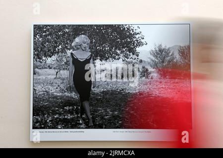 Mostra all'aperto al Festival fotografico la Gacilly-Baden di Baden, vicino a Vienna, bassa Austria Foto Stock