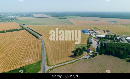 Vista dall'alto sulle balle di silo nel campo e in azienda agricola Foto Stock