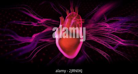 Cuore, immagine di visualizzazione grafica 3D. Concetto di modello di rendering medico, con un'estetica al neon moderna Foto Stock