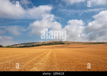 Alfriston, 18th 2022 agosto: Campi appena raccolti nel Sussex orientale vicino ad Alfriston Foto Stock