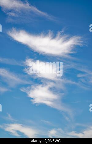 Forme irregolari astratte casuali formate da nuvole bianche ad alta quota contro un cielo blu profondo Foto Stock