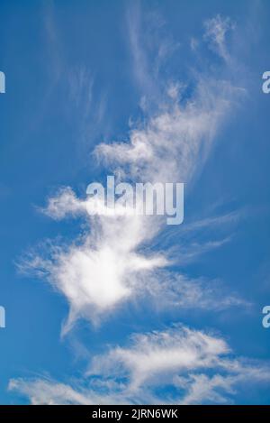 Forme irregolari astratte casuali formate da nuvole bianche ad alta quota contro un cielo blu profondo Foto Stock