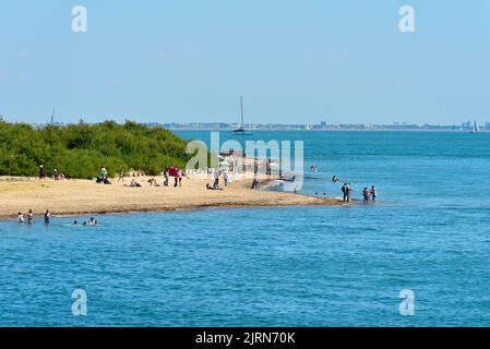 La spiaggia a Lepe Country Park in un caldo e soleggiato giorno estivo Hampshire Inghilterra Regno Unito Foto Stock