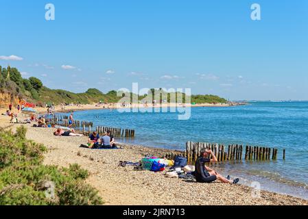 Folle sulla spiaggia del parco di campagna di Lepe in un giorno caldo e soleggiato d'estate, Hampshire Inghilterra Regno Unito Foto Stock