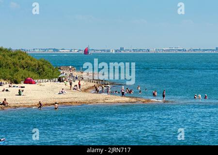 Folle sulla spiaggia del parco di campagna di Lepe in un giorno caldo e soleggiato d'estate, Hampshire Inghilterra Regno Unito Foto Stock