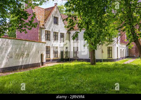 Il Begijnhof (Beguinage), casa dei beguini, laiche emancipate che hanno condotto una vita pia e celibata, a Bruges, Belgio Foto Stock