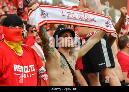 25 agosto 2022, Ungheria, Székesfehérvár: Calcio: Qualificazione della UEFA Europa Conference League, mol Fehérvár - 1. FC Köln, 4th° turno, seconda gamba, Sóstói Stadio Szekesfehervar. Tifosi di Colonia prima dell'inizio della partita. Foto: Marton Monus/dpa Foto Stock