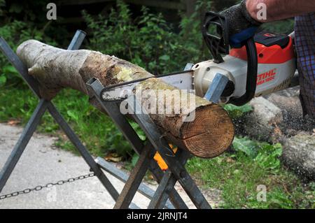 Taglio tronchi in preparazione per l'inverno. Foto Stock