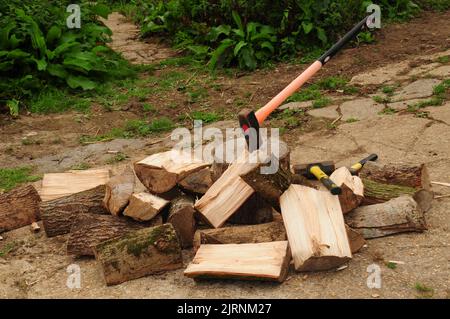 Spaccare i tronchi in preparazione per l'inverno. Foto Stock