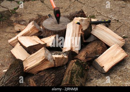 Spaccare i tronchi in preparazione per l'inverno. Foto Stock