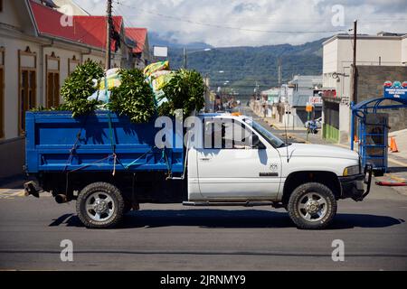 Una vista di un camion con piante sulla strada in Grecia, Costa Rica Foto Stock