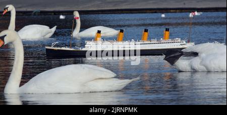 L'unico pericolo per Titanic durante il suo viaggio da fanciulla era cigni non iceberg sul lago navigabile a Southsea, Hants. Il vascello stupefacente , che suona musica dal 1912 e ha Jack e Rose in piedi sulla prua, Preso alle acque del lago Canoe per il suo primo viaggio 100 anni dopo la tragedia nell'Atlantico il modello lungo 6 piedi è stato costruito da Errol Johns 54 anni e il suo amico Paul Kwiatkowski (28) in appena sei settimane. Errol ha detto ''My gran era 14 quando il Titanic affondò e conosceva qualcuno che sopravvisse al naufragio . Mi ricordo di aver guardato il film "Una Notte da ricordare" con lei. Quello è quando sono diventato fa Foto Stock