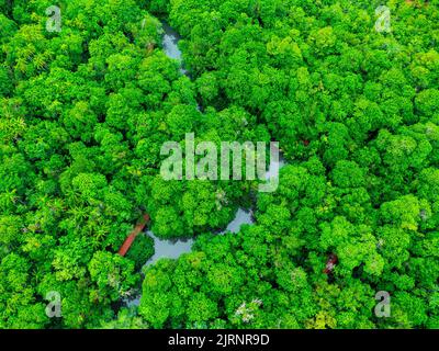 Le vedute aeree delle foreste di mangrovie sono abbondanti nel sud della Thailandia. Tha Pom Khlong Song Nam, Krabi, Thailandia. Splendido paesaggio naturale sfondo. Foto Stock