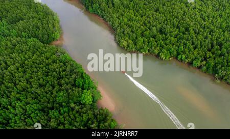 Vista aerea di una tradizionale barca tailandese a coda lunga che naviga nella baia di Phang Nga tra le fertili foreste di mangrovie del Mare delle Andamane, Thailandia. Foto Stock