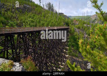 Ciclisti su Myra Canyon Tresple 7 Kelowna. I ciclisti attraversano gli storici tralicci ferroviari utilizzati per le escursioni a piedi e in bicicletta circondano Myra Canyon situato a My Foto Stock