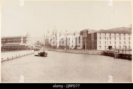 Wellington, 1901, Dunedin, di Muir & Moodie. Foto Stock