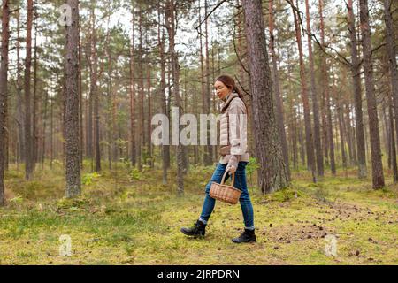 Giovane donna la raccolta di funghi nella foresta di autunno Foto Stock