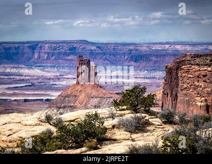 Una vista della Candlestick Tower nel Parco Nazionale delle Canyonlands con pennello da deserto Foto Stock