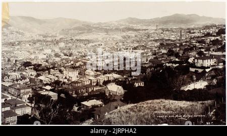 Wellington, 1905, Dunedin, di Muir & Moodie. Foto Stock