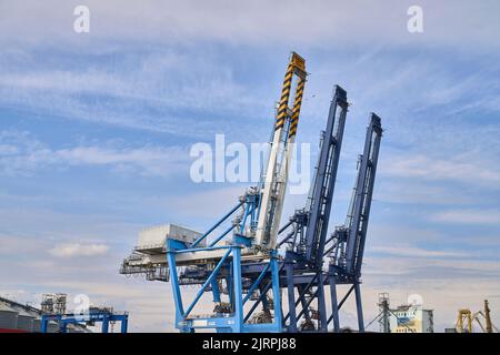 Odessa, Ucraina SIRCA 2019: Gru di ormeggio del terminale container contro il cielo blu.. Porto industriale con container Foto Stock