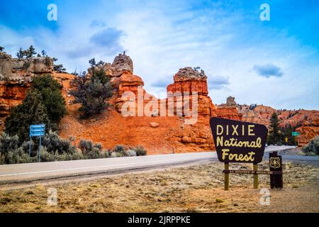 Una strada di accesso di andare a Red Canyon Dixie National Forest Foto Stock