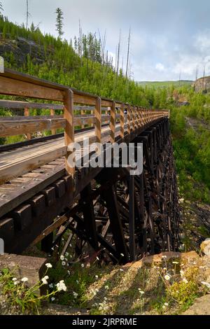 Ciclisti su Myra Canyon Trespolo 7 Kelowna verticale. I ciclisti attraversano gli storici tralicci ferroviari utilizzati per le escursioni a piedi e in bicicletta circondano Myra Canyon loca Foto Stock