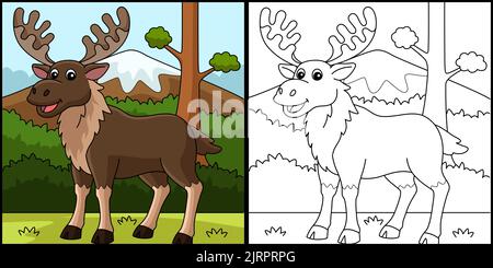 Moose Animal Coloring pagina colorata Illustrazione Illustrazione Vettoriale