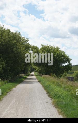 Trailway e i campi al di fuori del White River state Trail a Burlington, Wisconsin. Foto Stock