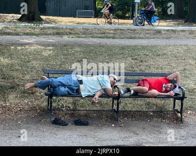 Uomo e ragazzo riposano su una panchina durante un'ondata di caldo a Prospect Park. L'erba bruciata dietro di loro attesta la condizione di calore estremo senza pioggia in vista. Brooklyn, New York. Foto Stock