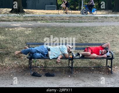 Uomo e ragazzo riposano su una panchina durante un'ondata di caldo a Prospect Park. L'erba bruciata dietro di loro attesta la condizione di calore estremo senza pioggia in vista. Brooklyn, New York. Foto Stock